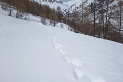 Terres d'émotions, Roya, Haute Tinée, Trou des Corneilles, Randonnée dans le 06
