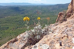 Perthus Occidental, Esterel, Col de belle barbe, Terres d'émotions, Randonnée dans le 06