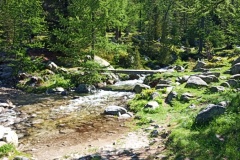 Lac de Tavels, Mercantour, Terres d'émotions, Col de Salèse, le boréon, randonnée dans le 06