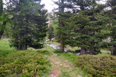Lacs des Bresses, lac Nègres, Mercantour, Terres d'émotions, randonnées dans le 06, Vésubie