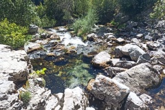 Source du coulomp, Aurent, Col du Fa. Castellet les Sausses, Terres d'émotions, Randonnée dans le 06