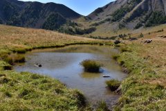 Crête de la Blanche, vallée de la Tinée, Bousieyas, Terres d'émotions, randonnées dans le 06