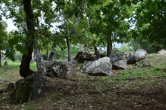 Collobrières, Capitale de la châtaignes, Plateaux Lambert, Terres d'émotions, Randonnées dans le 83
