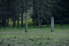 Collobrières, Capitale de la châtaignes, Plateaux Lambert, Terres d'émotions, Randonnées dans le 83