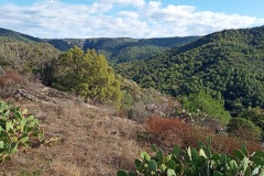 Collobrières, Capitale de la châtaignes, Plateaux Lambert, Terres d'émotions, Randonnées dans le 83