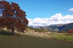 Vallée du Var, Mont Richarmet,  Roche trouée, Terres d'émotions, Randonnée dans le 06, Guillaume, Sauze