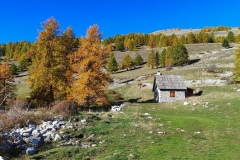 Cime de Chamoussillon, Hameau Les Tourres, Vallée du Var, terres d\'émotions, rando dans le 06