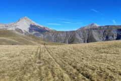 Cime de Chamoussillon, Hameau Les Tourres, Vallée du Var, terres d\'émotions, rando dans le 06