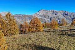 Cime de Chamoussillon, Hameau Les Tourres, Vallée du Var, terres d\'émotions, rando dans le 06