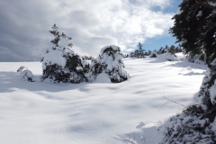 Terres d\'émotions, randonnée dans le 06, Plateau de Caussols, Haut Montet, Gourdon