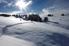 Terres d\'émotions, randonnée dans le 06, Plateau de Caussols, Haut Montet, Gourdon