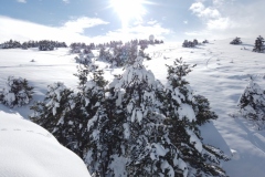 Terres d\'émotions, randonnée dans le 06, Plateau de Caussols, Haut Montet, Gourdon