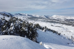 Terres d\'émotions, randonnée dans le 06, Plateau de Caussols, Haut Montet, Gourdon