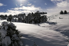 Terres d\'émotions, randonnée dans le 06, Plateau de Caussols, Haut Montet, Gourdon
