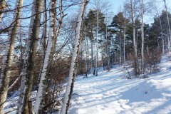 Montagne de Thiey, Terres d'émotions, randonnée dans le 06, Canaux, Neige, Raquettes