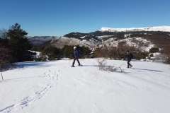 Montagne de Thiey, Terres d'émotions, randonnée dans le 06, Canaux, Neige, Raquettes