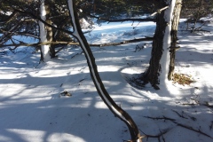 Montagne de Thiey, Terres d'émotions, randonnée dans le 06, Canaux, Neige, Raquettes