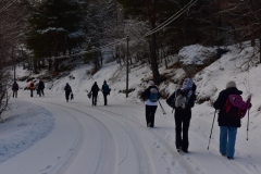 Montagne de Thiey, Terres d'émotions, randonnée dans le 06, Canaux, Neige, Raquettes