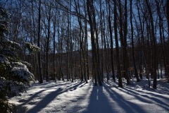 Montagne de Thiey, Terres d'émotions, randonnée dans le 06, Canaux, Neige, Raquettes