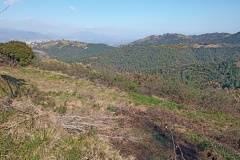 Tanneron, Mimosas, Terres d'émotions, Randonnée dans le 06