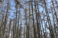 Les terres rouges, Belvédère, Serre de claperuole, Terres d'émotions, randonnée dans le 06, Vallon de Graus
