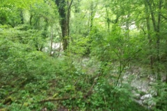 Vallon du guiou, Sospel, Parc du Mercantour; Terres d'émotions, Randonnée dans le 06