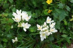 Vallon du guiou, Sospel, Parc du Mercantour; Terres d'émotions, Randonnée dans le 06