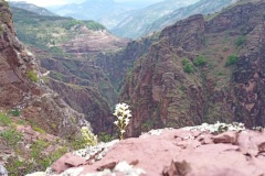 Yourte Mongole, Gorges de Daluis, Terres d'émotions, Randonnée dans le 06