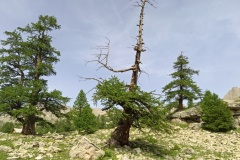 Col de la braisse, Vallon de sanguinerette, terres d'émotions, randonnées dans le 06