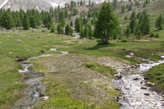 Col de la braisse, Vallon de sanguinerette, terres d'émotions, randonnées dans le 06