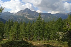 1_IMG_20210905_103428_1