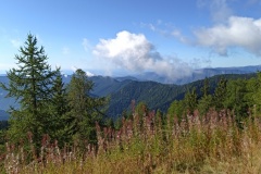 Tête de Siruol, terres d'émotions, Granges de la brasque, vallée de la vésubie, randonnée dans le 06