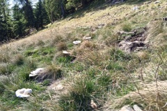 Tête de Siruol, terres d'émotions, Granges de la brasque, vallée de la vésubie, randonnée dans le 06