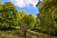 Pointe des 4 cantons, Ilonse, Bairols, Randonnée dans le 06, Terres d'émotions, Brec d'Ilonse