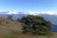 Pointe des 4 cantons, Ilonse, Bairols, Randonnée dans le 06, Terres d'émotions, Brec d'Ilonse