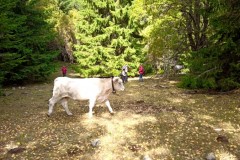Pointe des 4 cantons, Ilonse, Bairols, Randonnée dans le 06, Terres d'émotions, Brec d'Ilonse