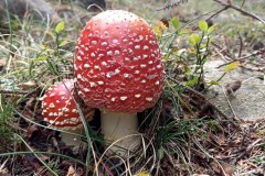 Pointe des 4 cantons, Ilonse, Bairols, Randonnée dans le 06, Terres d'émotions, Brec d'Ilonse