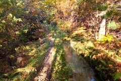 Canal de Braux, Châtaignes, Chabrières, Couleurs d'automne, grés d'Annot, Randonnée dans le 06, Terres d'émotions