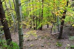 Canal de Braux, Châtaignes, Chabrières, Couleurs d'automne, grés d'Annot, Randonnée dans le 06, Terres d'émotions