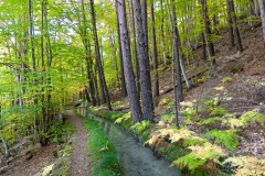 Canal de Braux, Châtaignes, Chabrières, Couleurs d'automne, grés d'Annot, Randonnée dans le 06, Terres d'émotions