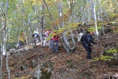 Canal de Braux, Châtaignes, Chabrières, Couleurs d'automne, grés d'Annot, Randonnée dans le 06, Terres d'émotions