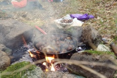 Canal de Braux, Châtaignes, Chabrières, Couleurs d'automne, grés d'Annot, Randonnée dans le 06, Terres d'émotions