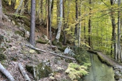 Canal de Braux, Châtaignes, Chabrières, Couleurs d'automne, grés d'Annot, Randonnée dans le 06, Terres d'émotions