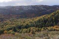 Vallon de Nans, forêt de hêtres et d'érables, Terres d'émotions, Randonnée dans le 06