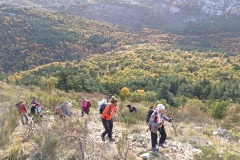 Vallon de Nans, forêt de hêtres et d'érables, Terres d'émotions, Randonnée dans le 06