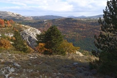 Vallon de Nans, forêt de hêtres et d'érables, Terres d'émotions, Randonnée dans le 06