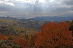 Vallon de Nans, forêt de hêtres et d'érables, Terres d'émotions, Randonnée dans le 06