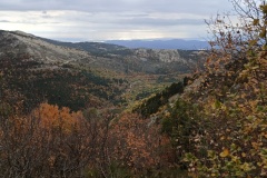 Vallon de Nans, forêt de hêtres et d'érables, Terres d'émotions, Randonnée dans le 06