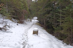 Mont Viroulet, La colmiane, Caire Gros, Vallée de la Vésubie, Terres d'émotions Randonnée dans le 06