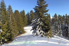 Mont Viroulet, La colmiane, Caire Gros, Vallée de la Vésubie, Terres d'émotions Randonnée dans le 06